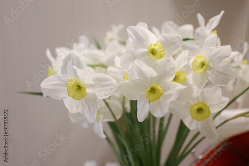 gentle spring bouquet of daffodils