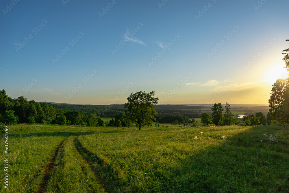 Field with grass and road at sunset. Trees in the meadow in the evening. Field with grass and road at sunset. Trees in the meadow in the evening.