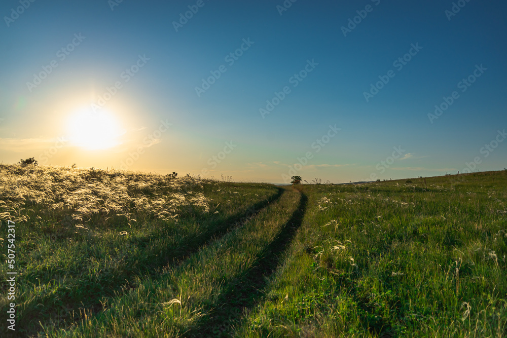 Sunset and road through the field.