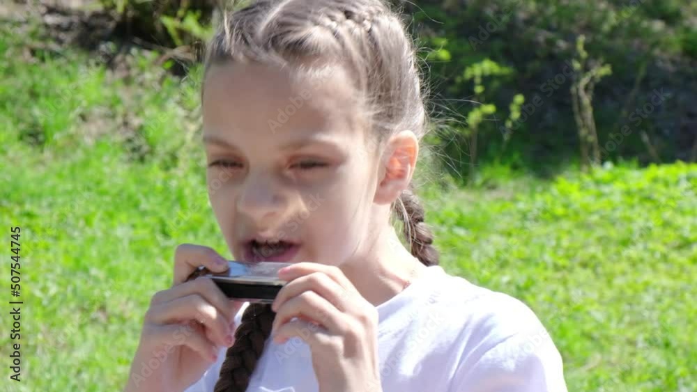 a cute teenage girl in a white T-shirt and with a hairstyle with braids plays the harmonica against the background of green grass a cute teenage girl in a white T-shirt and with a hairstyle with braids plays the harmonica against the background of green grass