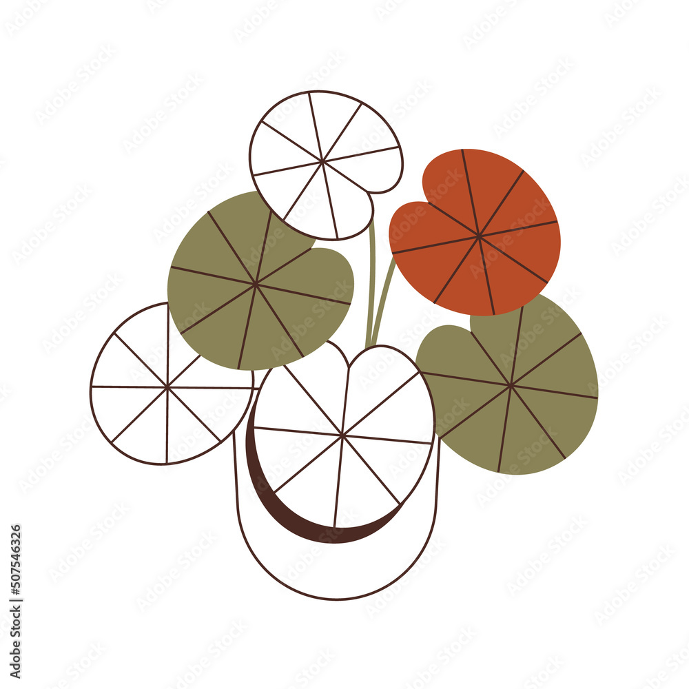 Illustration of begonia in a pot. Flat vector design. Illustration of begonia in a pot. Flat vector design.