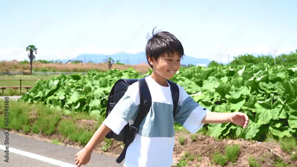 田舎道を歩いて学校に登校する小学生の男の子 Stock Video | Adobe Stock