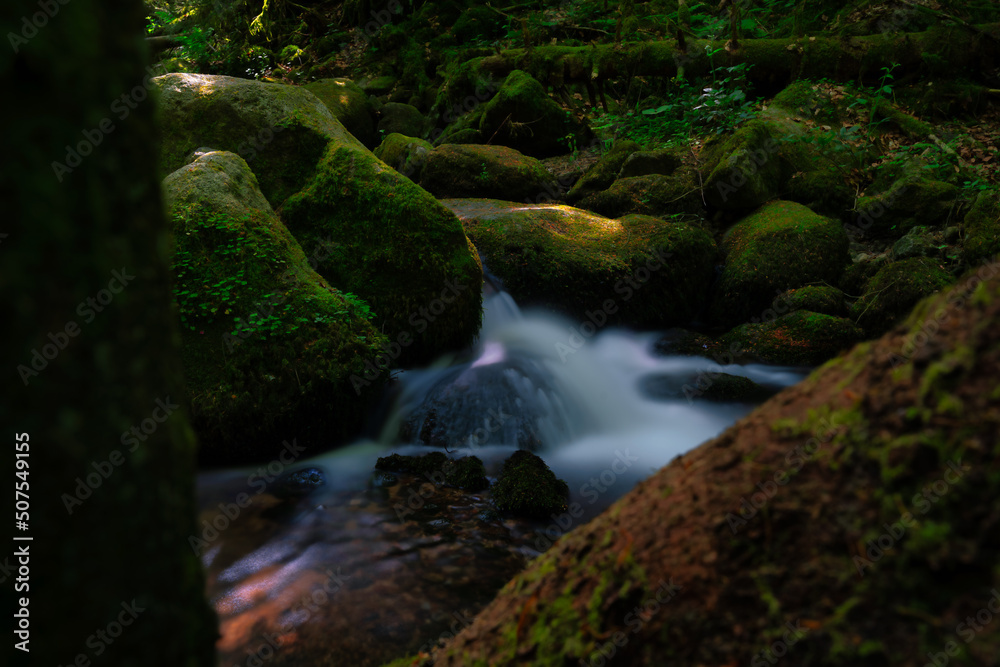 waterfall in the forest waterfall in the forest