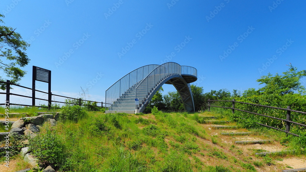 Obraz premium 庵治(あじ)竜王山公園5