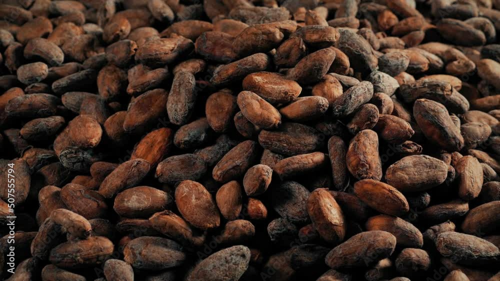 Chocolate Cacao Beans Pour Into Pile 2 Versions