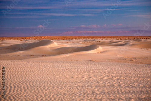 砂漠の夜明け photo