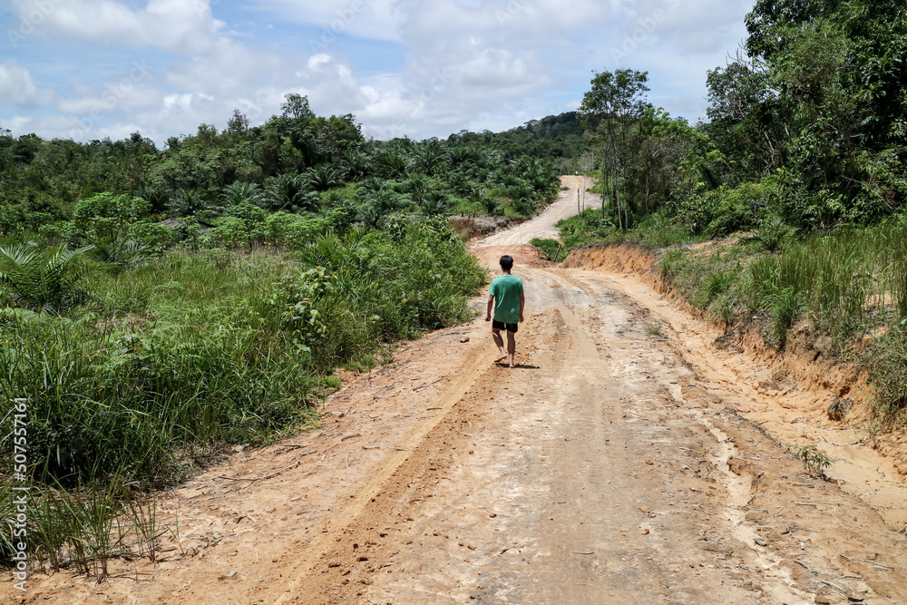 Walking on a dirt road in the middle of the forest. Kalimantan, Indonesia. Walking on a dirt road in the middle of the forest. Kalimantan, Indonesia.