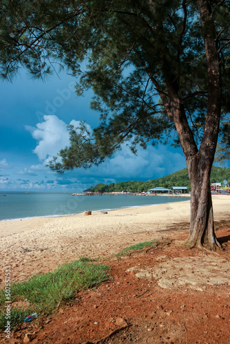 Beach with trees. Singkawang, West Kalimantan.