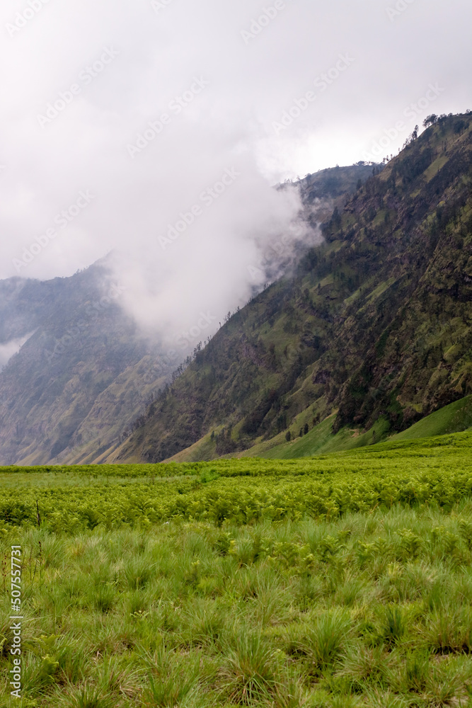 Teletubbies Hill in Bromo Tengger National Park. The expanse of green land amaze every visitor. Teletubbies Hill in Bromo Tengger National Park. The expanse of green land amaze every visitor.