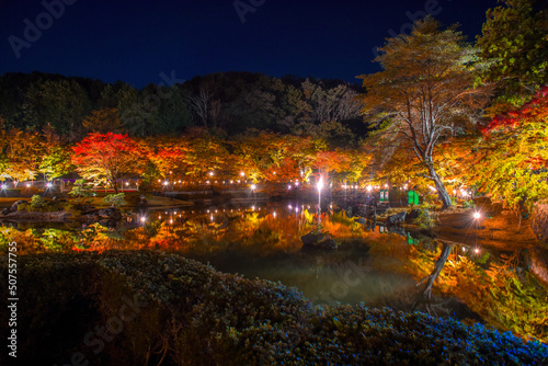 修善寺の紅葉ライトアップ © YUKI