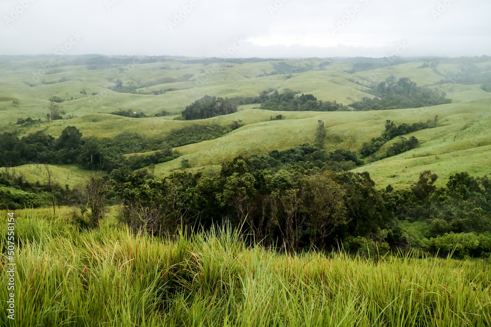 Obraz premium Green hills in Kalimantan