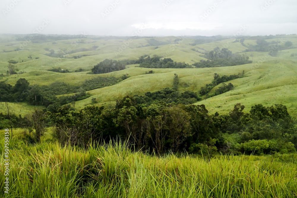 Green hills in Kalimantan