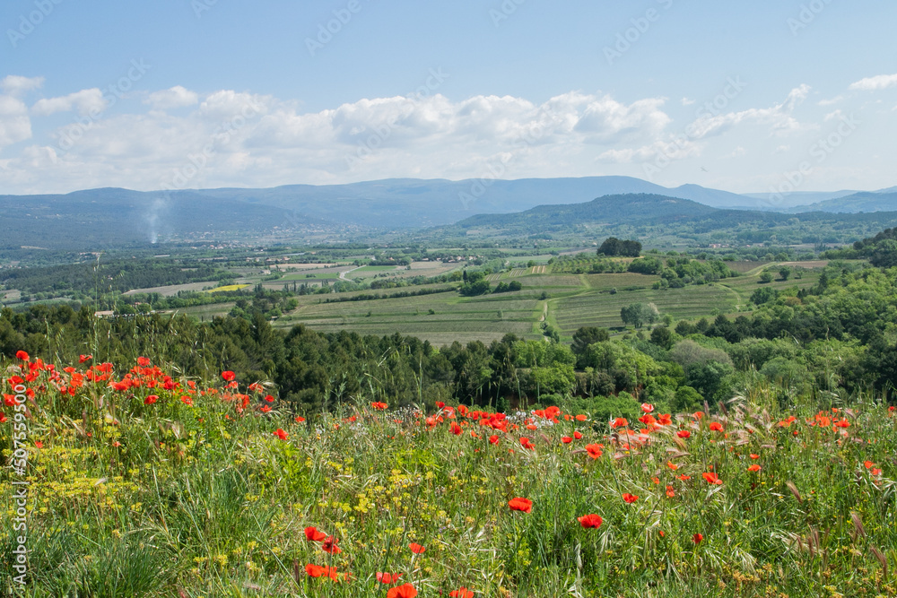 French Countryside Provence Poppies View