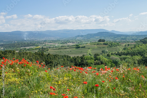 French Countryside Provence Poppies View