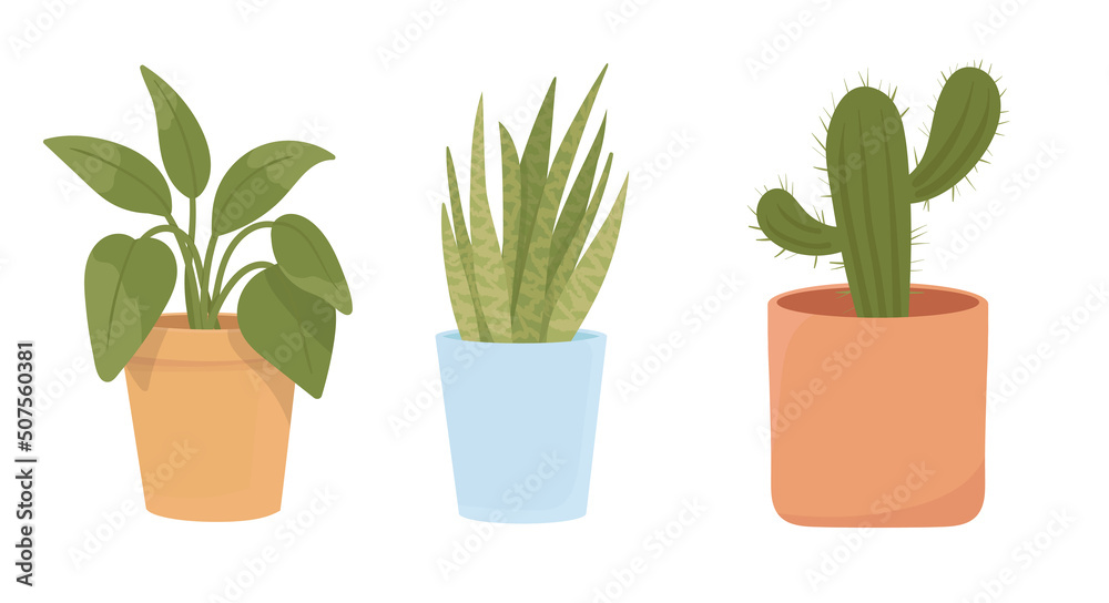 Obraz premium Home potted plants. Houseplants in plant pots, flower potted plant, green leaves interior decoration isolated illustration icons set. Ceramic containers and vase with sansevieria, dracaena, cactus 