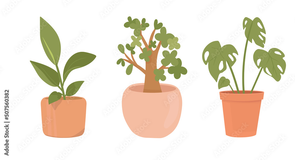 Obraz premium Home potted plants. Houseplants in plant pots, flower potted plant, green leaves interior decoration isolated illustration icons set. Ceramic containers and vase with bonsai, rubber plant, monstera