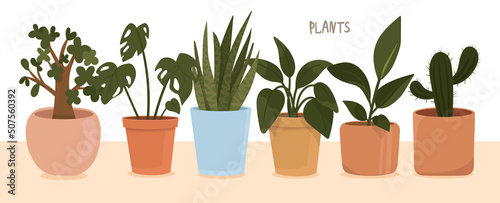 Home gardening. Plants at home. Plants in pots. Home flowers. Floristic background. Green potted flowers flat postcard. illustration of flowering pots