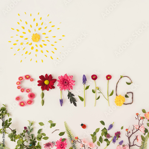 Word spring made of colorful flowers on a bright background. Spring or summer concept. Flat lay