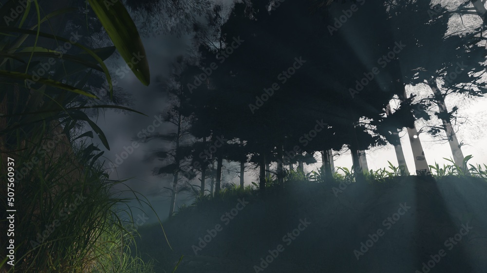 3d render pine forest and morning mist sunlight scenery nature wallpaper backgrounds