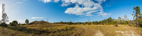 landscape with grass and sky, Aripeka Sandhills Preserve