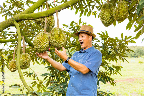 durian farmer with durian fruit on the farm © Sun Image