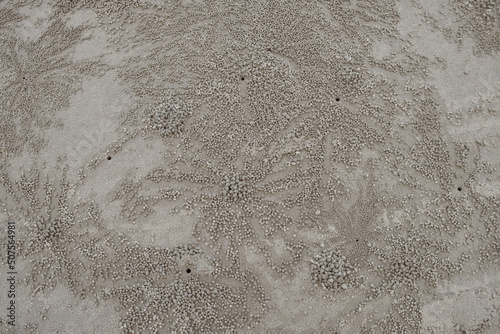 Sand Crab bubblers at the Daintree, Queensland, Australia. Balls of sand made from crabs making a pattern on the beach.	 photo
