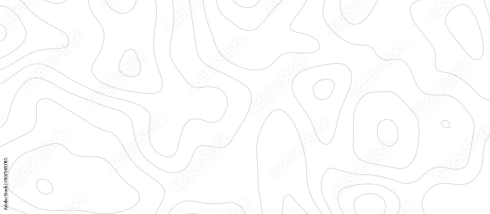 Abstract topographic contours map background. Vector geographic contour map. topography map background. White wave paper curved reliefs abstract background. Abstract topographic contours map background. Vector geographic contour map. topography map background. White wave paper curved reliefs abstract background.
