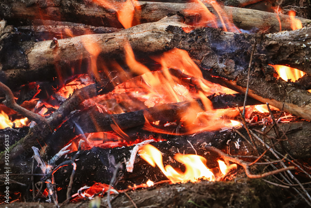 fire in the fireplace fire in the fireplace