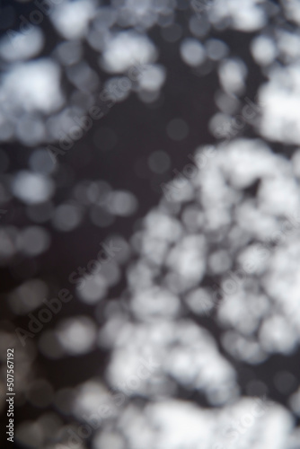 Black and white of Circle bokeh and blur for background