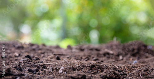 Canvastavla Soil close up, nature background