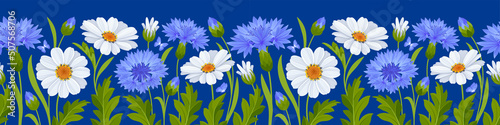 Horizontal seamless border with pattern of blue cornflowers, white daisy flowers, leaves and buds on a blue background. Vector illustration