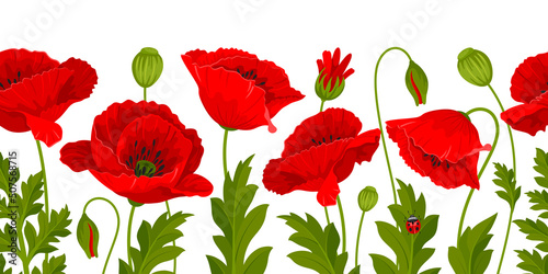 Horizontal seamless border with pattern of red poppy flowers, leaves and poppy seed pods on a white background. Vector illustration
