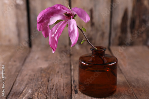 Bright magnolia flower on a rustic background photo