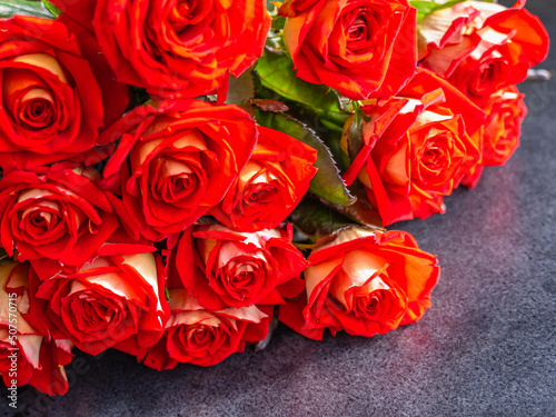 A bouquet of bright red roses close-up on a gray table