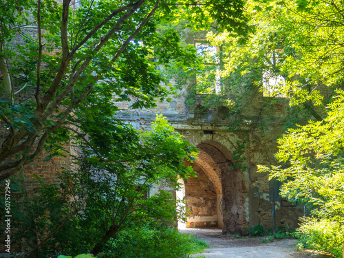 Fototapeta Naklejka Na Ścianę i Meble -  Ruins of the old Klevan Castle among the thickets, Rivne region, Ukraine.
