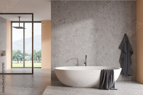 Bright bathroom interior with bathtub  shower and panoramic window