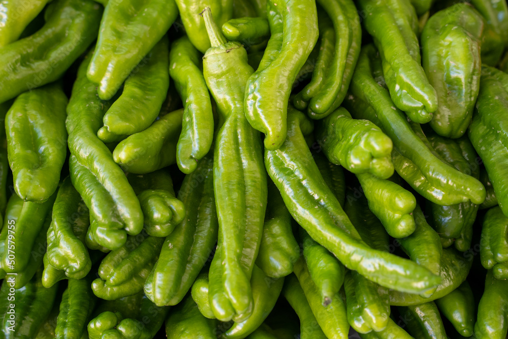 beautiful fresh green peppers put together