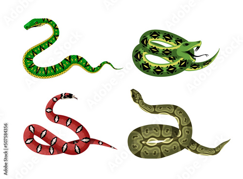 viper snake green reptile serpent