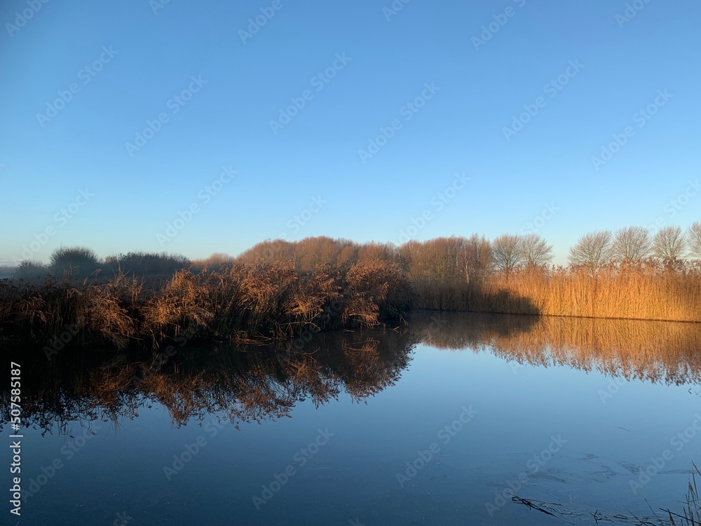 Fototapeta premium Early morning reflections