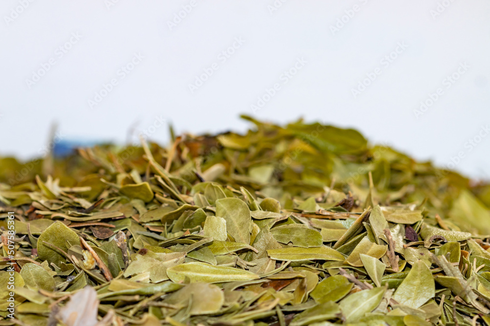 Natural medicinal dried leaves of Saw Palmetto or Sabal serrulata ( Serenoa repens), to prevent prostate cancer, selective approach.
Natural medicinal dried leaves of Saw Palmetto or Sabal serrulata ( Serenoa repens), to prevent prostate cancer, selective approach.