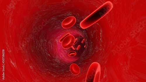 Blutkörperchen photo