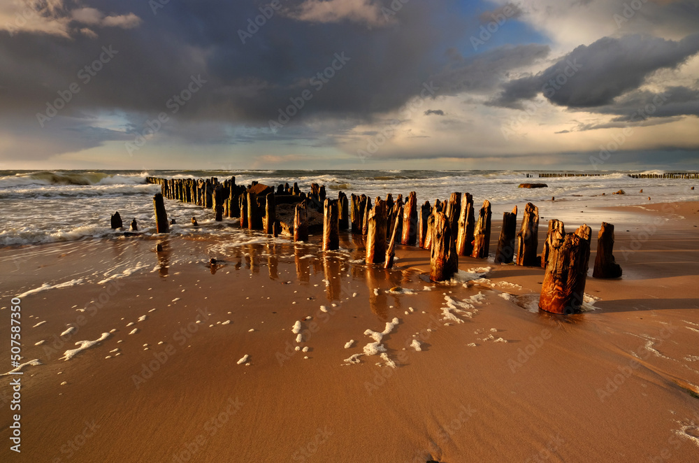 Baltic Sea coast landscape