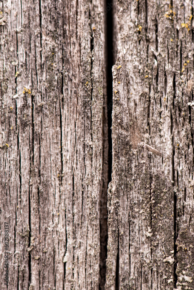 Brown wooden background, old boards with cracks