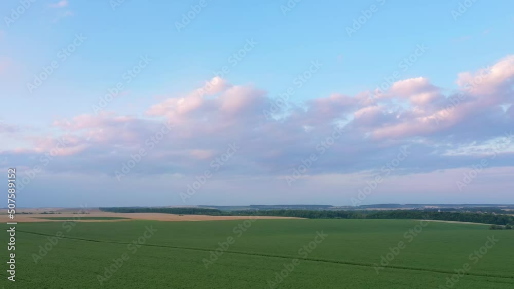 Green corn fields and farmland in summer. Filmed in UHD 4k video. Green corn fields and farmland in summer. Filmed in UHD 4k video.