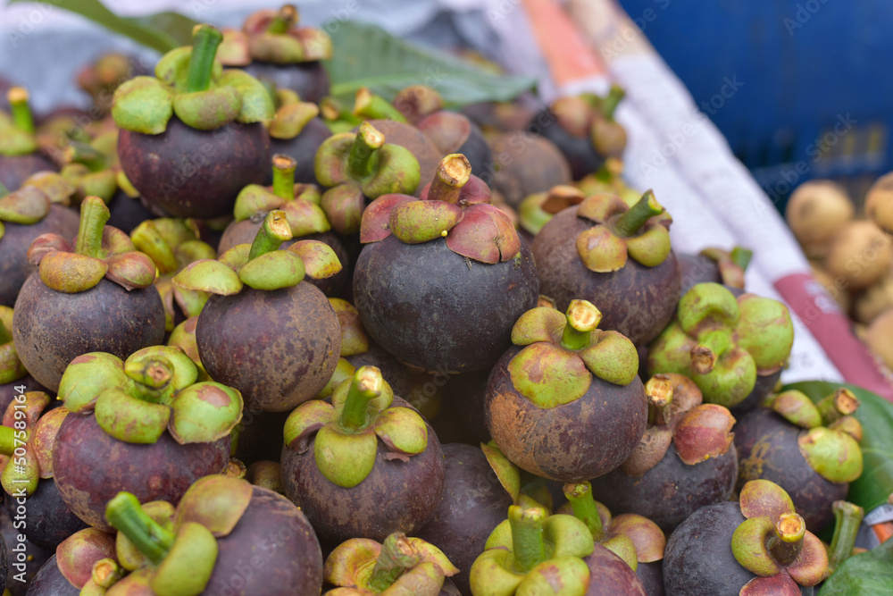 Fresh ripe mangosteen fruits for sale in a supermarket and market at