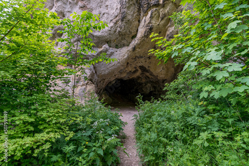 Exploration of some caves in the Upper Danube Valley