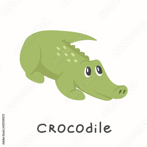Cute young green crocodile on a white background. Child Vector illustration with animal in flat cartoon style. 
