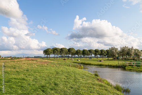 Fototapeta Small river in the Dutch polder landscape.