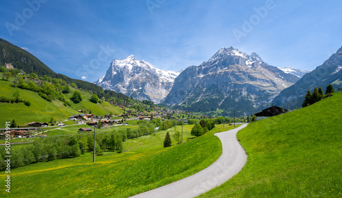 road between alpine green meadows with Alps mountains in Grindelwald in Switzerland