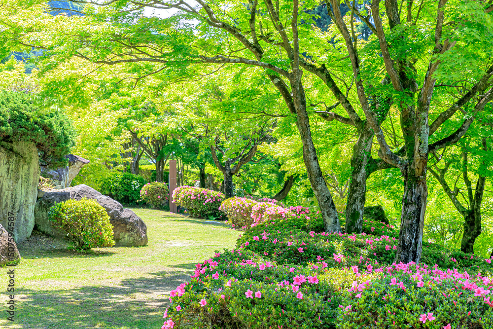 初夏のの溪石園　耶馬渓ダム記念公園　大分県中津市　Keisekien in early summer.　Yabakei dam Memorial park.　Ooita Nakatsu city.